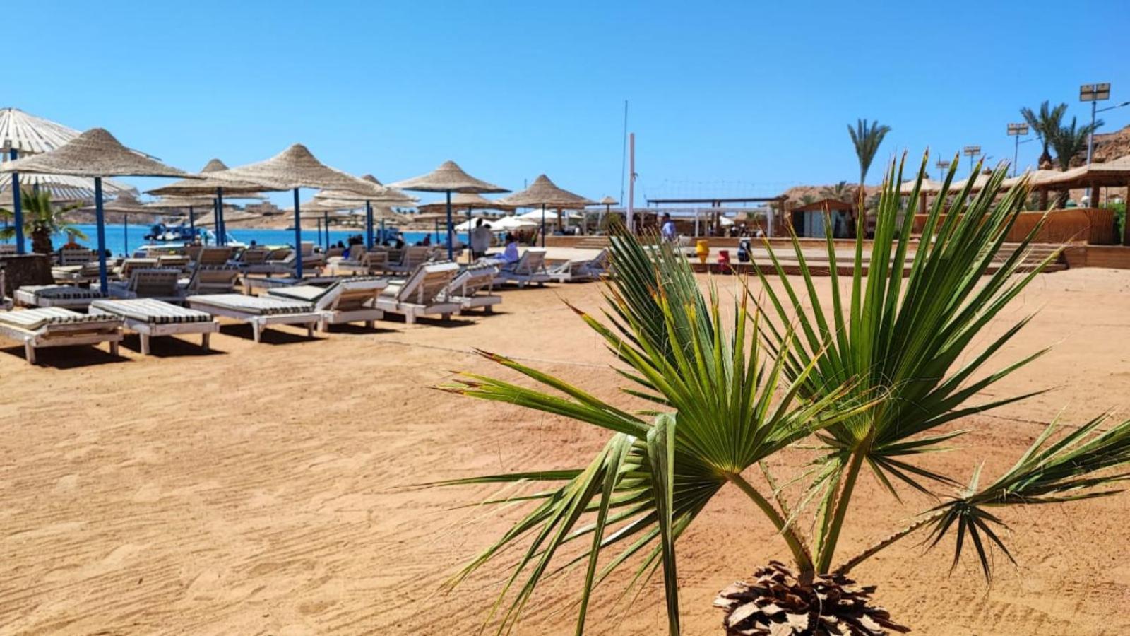 Turquoise Beach Hotel Sharm el-Sheikh Exteriör bild
